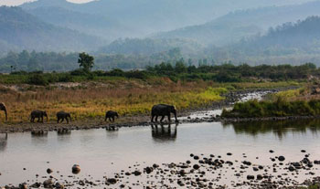 Dhikala Tour package