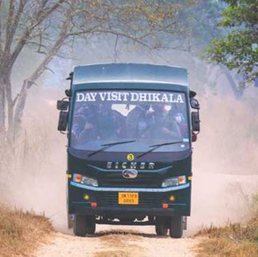 dhikala canter safari