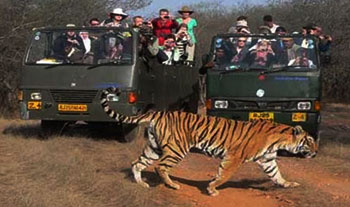 Dhikala Tour package
