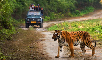 Dhikala Tour package